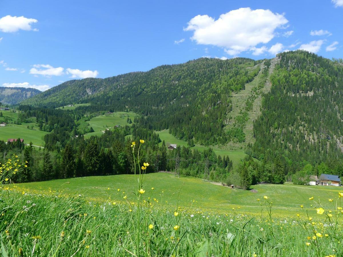 Alpenhaus Dachstein.Zauber Daire Abtenau Dış mekan fotoğraf