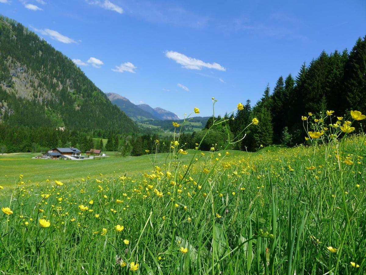 Alpenhaus Dachstein.Zauber Daire Abtenau Dış mekan fotoğraf