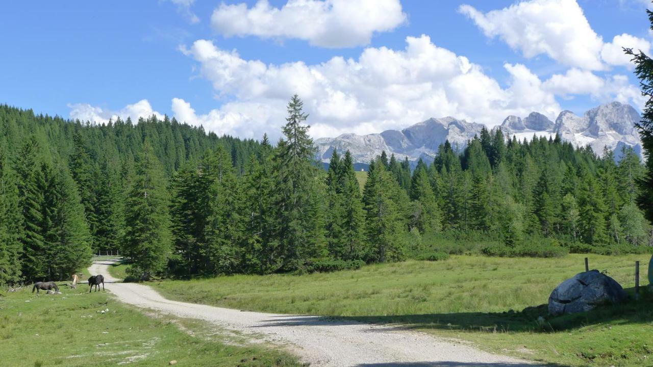 Alpenhaus Dachstein.Zauber Daire Abtenau Dış mekan fotoğraf