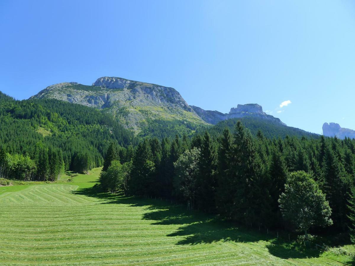 Alpenhaus Dachstein.Zauber Daire Abtenau Dış mekan fotoğraf