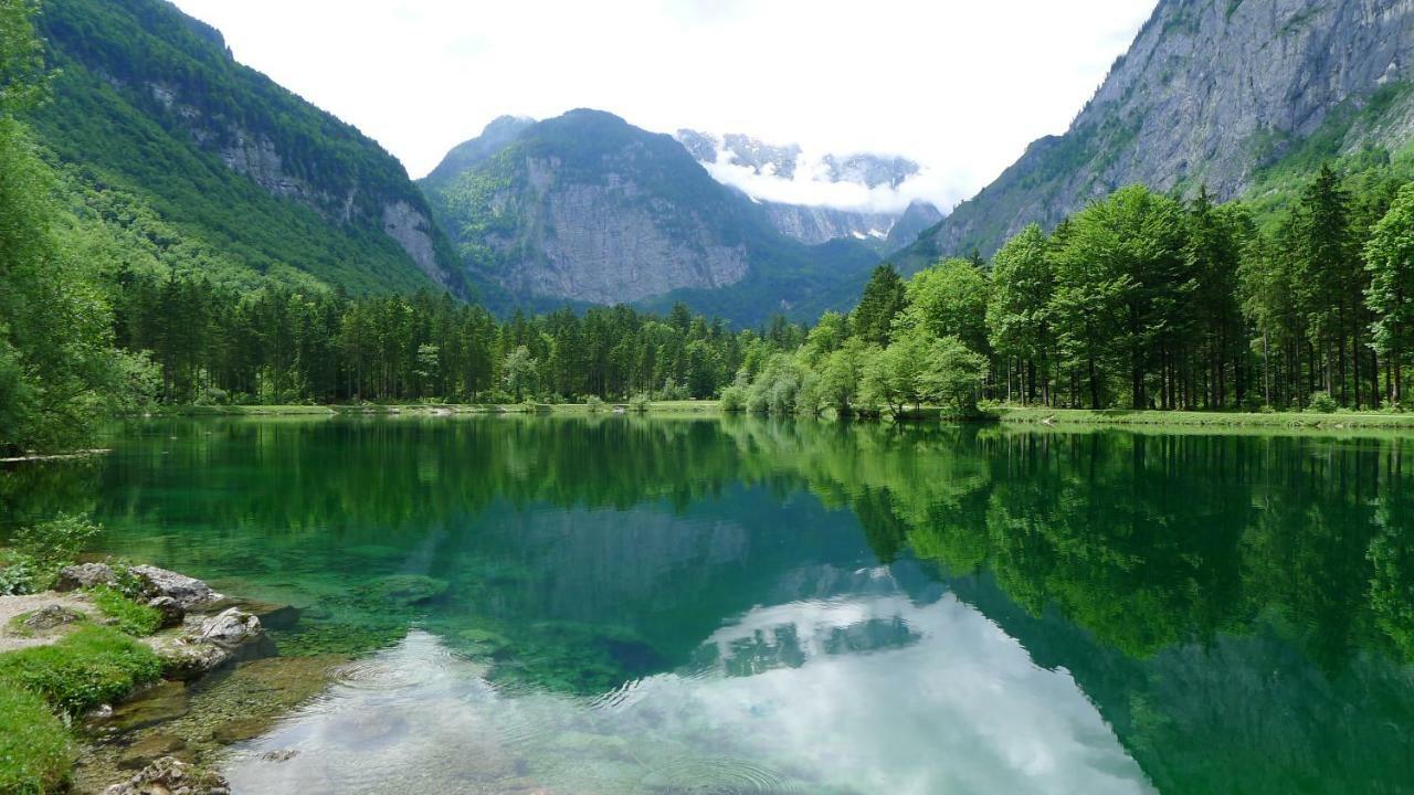 Alpenhaus Dachstein.Zauber Daire Abtenau Dış mekan fotoğraf