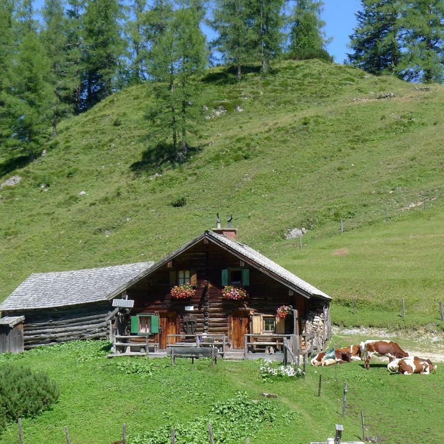 Alpenhaus Dachstein.Zauber Daire Abtenau Dış mekan fotoğraf