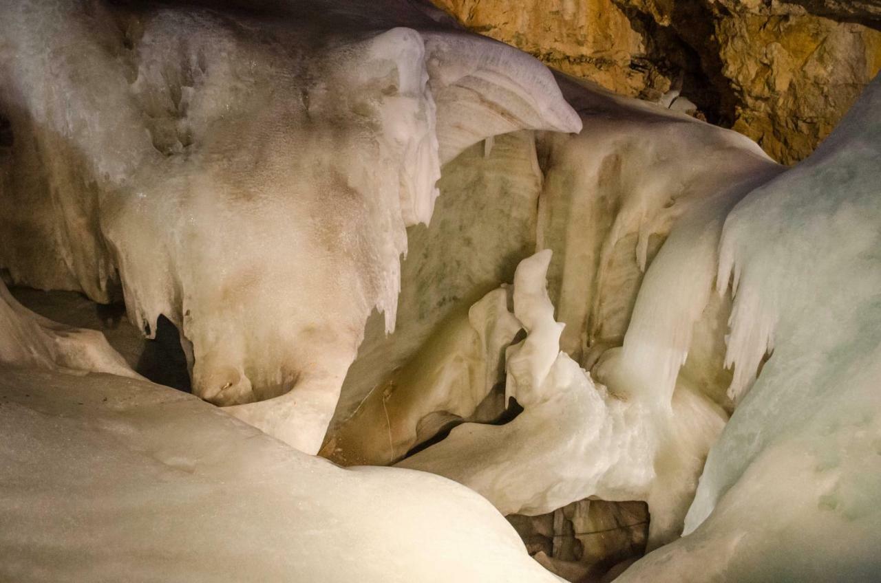 Alpenhaus Dachstein.Zauber Daire Abtenau Dış mekan fotoğraf