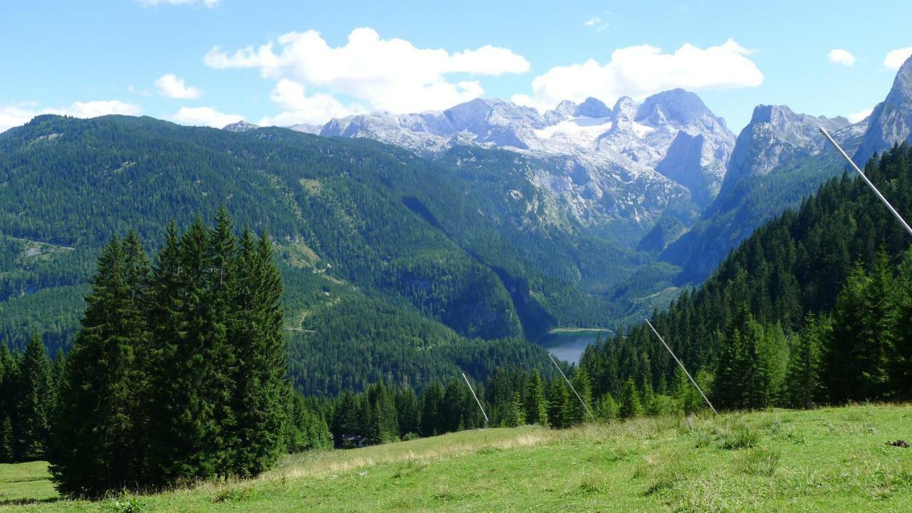 Alpenhaus Dachstein.Zauber Daire Abtenau Dış mekan fotoğraf