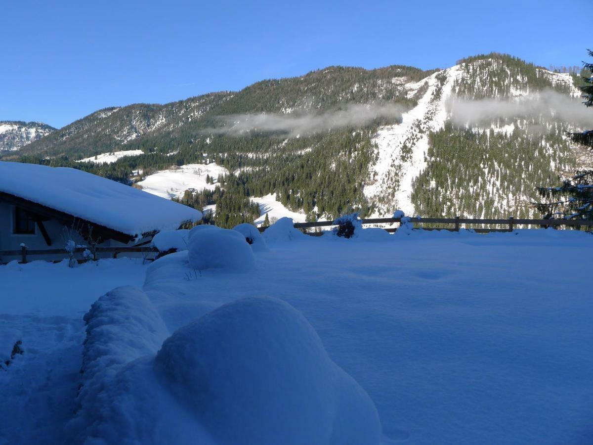 Alpenhaus Dachstein.Zauber Daire Abtenau Dış mekan fotoğraf