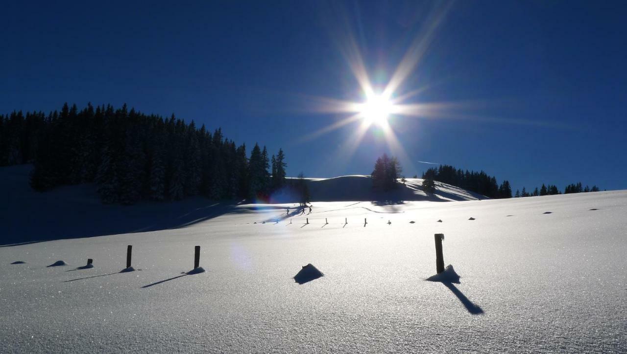 Alpenhaus Dachstein.Zauber Daire Abtenau Dış mekan fotoğraf