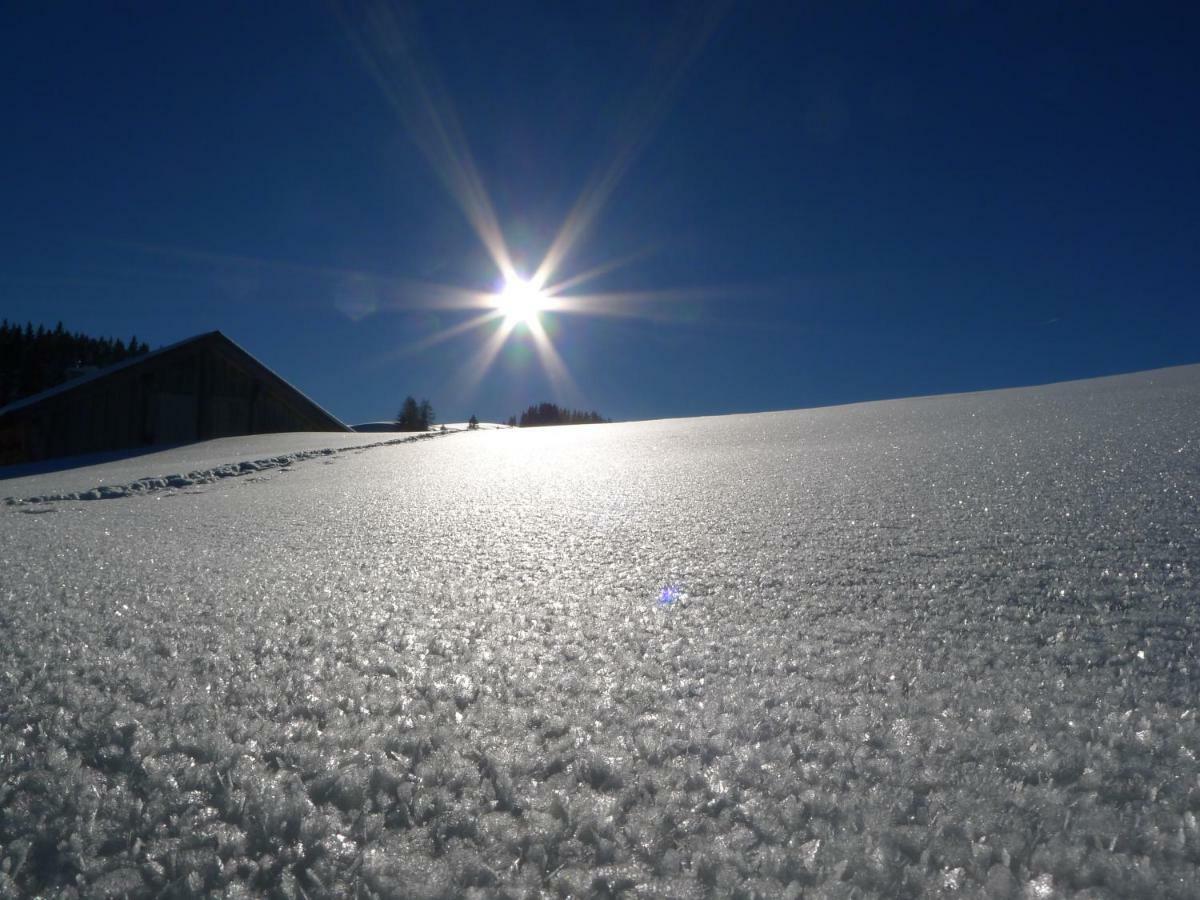 Alpenhaus Dachstein.Zauber Daire Abtenau Dış mekan fotoğraf