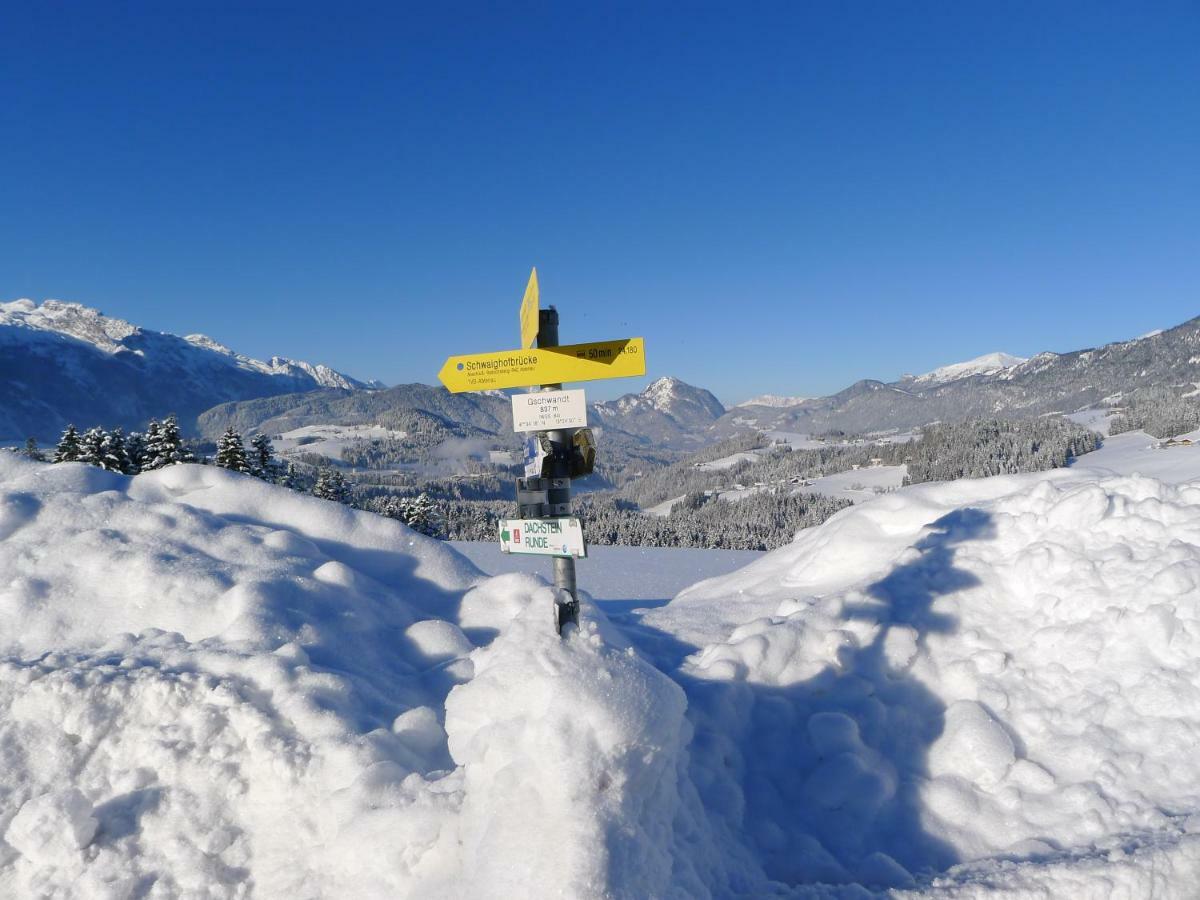 Alpenhaus Dachstein.Zauber Daire Abtenau Dış mekan fotoğraf